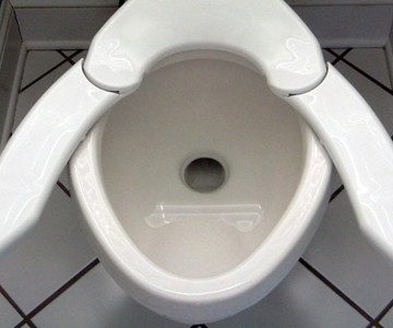 One Size Fits All Toilet Seat One Size Fits All Toilet Seat
