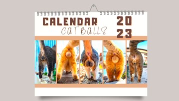 Cat Balls Calendar