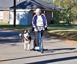 Dog Powered Scooter