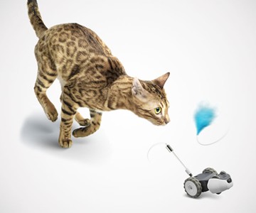 Mousr Interactive Robotic Cat Toy Mousr Interactive Robotic Cat Toy