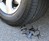 Caltrops Tashibishi Spiked Stoppers