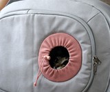 Hoonico Moomoo Bag Pet Carrier