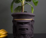 Monkey Planters