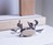 Crab Multi-Tool Crab Multi-Tool