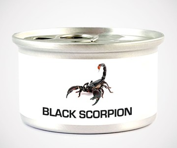 Edible Asian Forest Scorpion