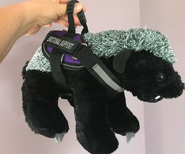 Emotional Support Stuffed Animals Emotional Support Stuffed Animals