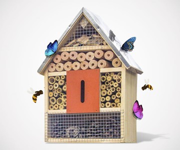 Ladybug, Bee & Butterfly House Ladybug, Bee & Butterfly House