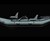 Flycraft Stealth Flycraft Stealth