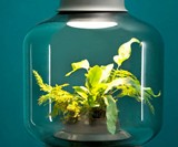 Mygdal Plantlight Self-Supporting Ecosystem