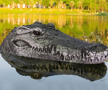Remote Control Crocodile Head