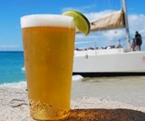 The Perfect Pint Glass 12-Pack