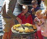 Fryin' Saucer Portable Propane Deep Fryer