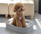 Hoonico Moomoo Bag Pet Carrier