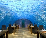 The Underwater Suite-171