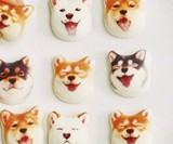 Shiba Inu Dog Marshmallows