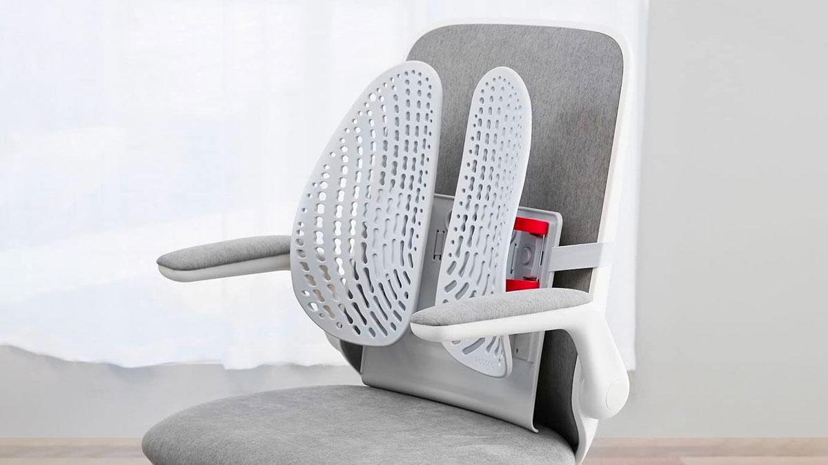Leband Lumbar Back Support for Office Chairs Leband Lumbar Back Support for Office Chairs