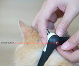 KiTiDOT Red Dot Laser Pointer Cat Collar