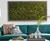 Living Moss Wall Art Living Moss Wall Art