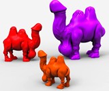 Camel Dick (NSFW)
