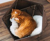 Geometric Wooden Pet Bed
