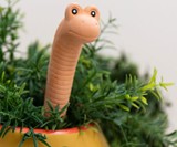 Willy the Worm Water Sensor for Houseplants