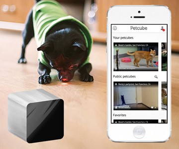 Petcube - Remote Interactive Pet Toy Petcube - Remote Interactive Pet Toy