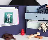 Savor The Vault Organizational & Keepsake Boxes