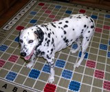 Scrabble Rug