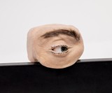 Eyecam Anthropomorphic Webcam