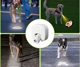 LED Dog Projector for Dog Collars