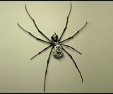 Steampunk Insects-7541