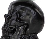 Lost Souls Gothic Skull Glass-Topped Table