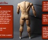 Muscle Suits