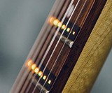Fret Zealot LED Guitar Instruction System