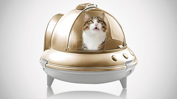 16 Meow-ty Fine Cat Gifts for 2023