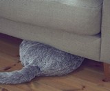 Qoobo Therapeutic Robot Pillow