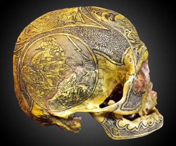 Real Human Skull Art Real Human Skull Art