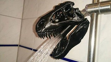 T-Rex Skull Shower Head T-Rex Skull Shower Head