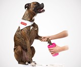 Mudbuster Portable Dog Paw Cleaner