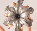 Bullet Bouquets
