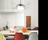 Hunter Fan Retractable Blade Ceiling Fan