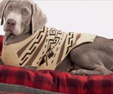 The Dude Dog Sweater