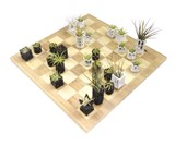 Air Plant Living Chess Set
