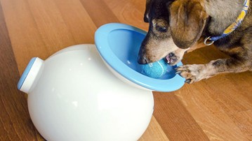 iFetch Automatic Ball Launcher