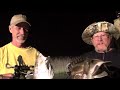 Falcon Slingbows