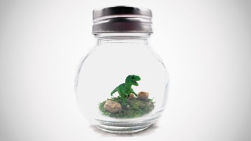 1" Pet T-Rex Terrarium with Adoption Certificate 1" Pet T-Rex Terrarium with Adoption Certificate
