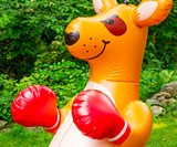 Boxing Kangaroo Sprinkler