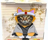 DoyenCat Sushi Chef FunBox with Scratching Board
