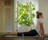 iHarvest Indoor Hydroponic Garden