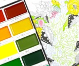 Kuretake Water Color Set